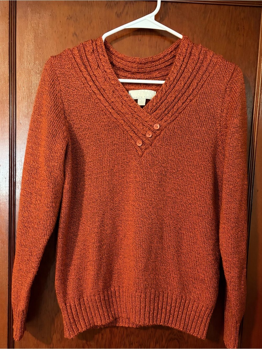 Cozy Ribbed V-Neck Sweater in Burnt Orange